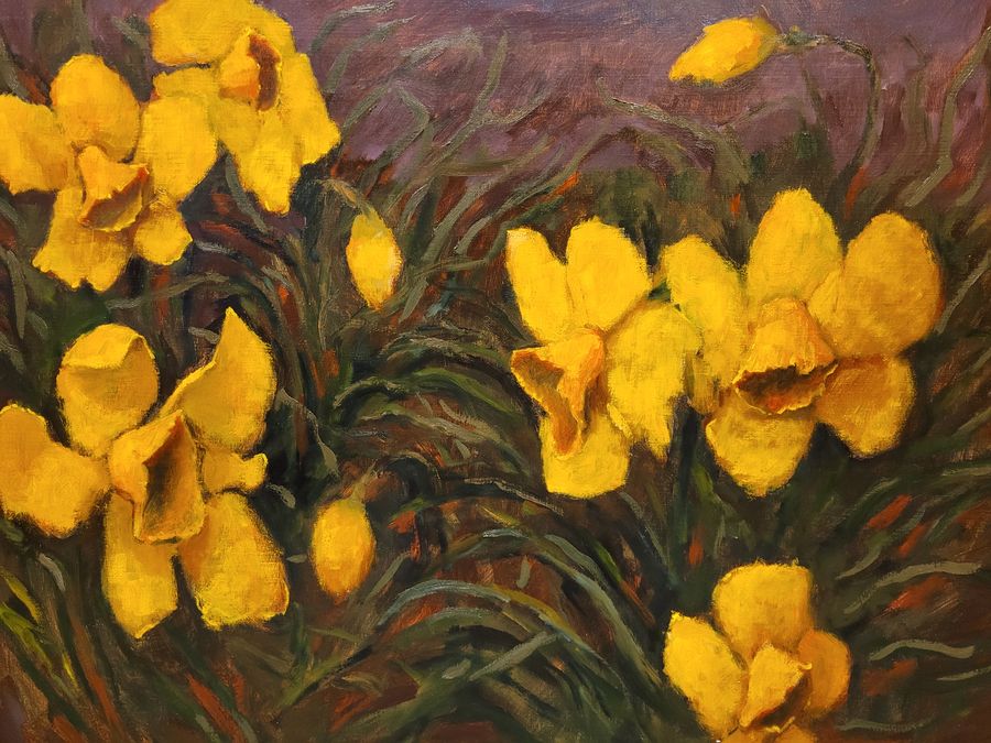 Narcissen