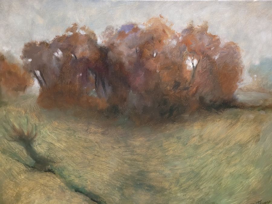 Stormachtig landschap