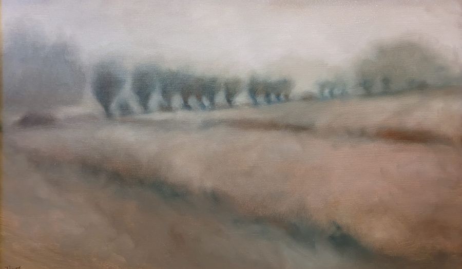 Knotwilgen in de mist